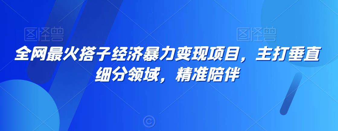 全网最火搭子经济暴力变现项目，主打垂直细分领域，精准陪伴【揭秘】-云帆项目库