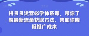 拼多多运营必学体系课,带你了解最新流量获取方法、帮助你降低推广成本-云帆项目库