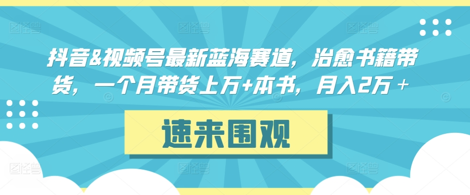 抖音&视频号最新蓝海赛道，治愈书籍带货，一个月带货上万+本书，月入2万＋【揭秘】-云帆项目库