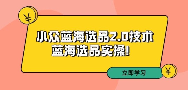 拼多多培训第33期：小众蓝海选品2.0技术-蓝海选品实操！-云帆项目库