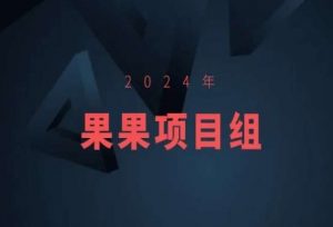2024年果果项目组项目合集-果果最新项目-云帆项目库