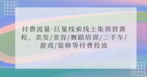 付费流量·巨量线索线上集训营课程,美发/美容/舞蹈培训/二手车/游戏/装修等付费投流-云帆项目库