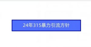 24年315暴力引流方针-云帆项目库