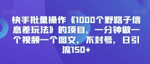 快手批量操作《1000个野路子信息差玩法》的项目,一分钟做一个视频一个图文,不封号,日引流150+【揭秘】-云帆项目库