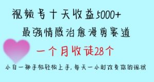 十天收益5000+,多平台捞金,视频号情感治愈漫剪,一个月收徒28个,小白一部手机轻松上手【揭秘】-云帆项目库