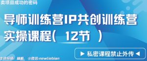导师训练营3.0IP共创训练营私密实操课程(12节)-卖项目的密码成功秘诀【揭秘】-云帆项目库