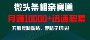 微头条相亲赛道,迅速积累,无脑复制粘贴,野路子玩法,月入1w-云帆项目库