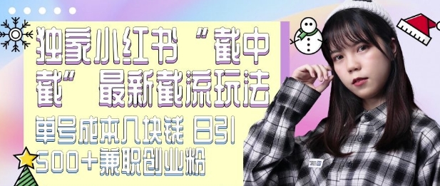 最新小红书截流玩法 独家截中截 单号成本几块钱 日引500+CY粉JZ粉-云帆项目库