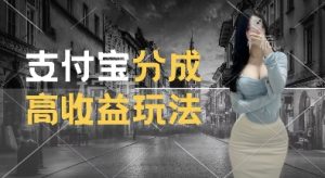 支付宝分成计划新玩法,利用交通事故视频,赚收益,轻松月入过W,操作简单【揭秘】-云帆项目库