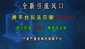 全新引流风口,跨平台玩法日入上k,单日狂揽200+精准创业粉,一个被严重忽略的视频平台-云帆项目库