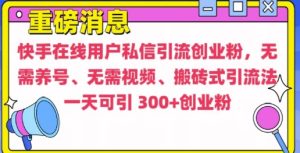 快手最新引流创业粉方法,无需养号、无需视频、搬砖式引流法【揭秘】-云帆项目库