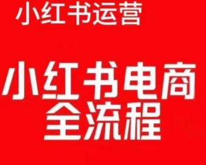 红薯电商实操课,小红书电商全流程-云帆项目库
