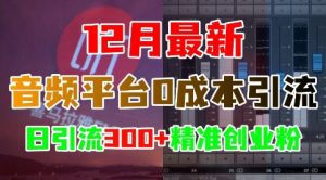 12月最新:音频平台0成本引流,日引流300+精准创业粉-云帆项目库