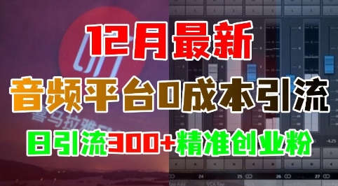 12月最新：音频平台0成本引流，日引流300+精准创业粉-云帆项目库