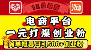 12月最新:电商平台1元打爆创业粉,简单粗暴日引500+精准创业粉,轻松月入过W【揭秘】-云帆项目库