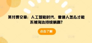 某付费文章:人工智能时代,普通人怎么才能不被淘汰持续躺赢?-云帆项目库
