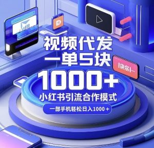 视频代发,一单5块,小红书引流合作模式,一部手机轻松日入多张【揭秘】-云帆项目库