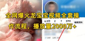 全网爆火龙宝宝视频全套操作流程,播放量2000万+-云帆项目库