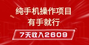 纯手机操作的小项目,有手就能做,7天收入2609+实操教程【揭秘】-云帆项目库