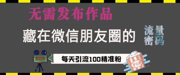 藏在微信朋友圈的流量密码，无需发布作品，单日引流100+精准创业粉【揭秘】-云帆项目库