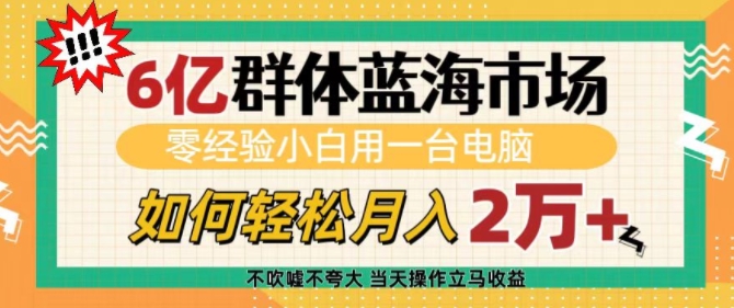 6亿群体蓝海市场，零经验小白用一台电脑，如何轻松月入过w【揭秘】-云帆项目库