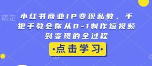 小红书商业IP变现私教,手把手教会你从0-1制作短视频到变现的全过程-云帆项目库