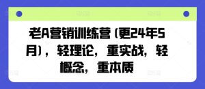 老A营销训练营(更24年12月),轻理论,重实战,轻概念,重本质-云帆项目库