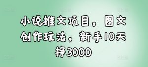 小说推文项目,图文创作玩法,新手10天挣3000-云帆项目库