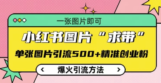 小红书图片‘求带’爆火引流法，单张图片引流500+精准创业粉【揭秘】-云帆项目库