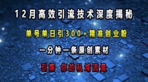 最新高效引流技术深度揭秘 ,单号单日引300+精准创业粉,一分钟一条原创素材,引爆你的私域流量-云帆项目库