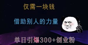 仅需一块钱,借助别人的力量,单日引爆300+创业粉、兼职粉【揭秘】-云帆项目库