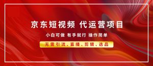 京东带货代运营,年底翻身项目,小白有手就行-云帆项目库