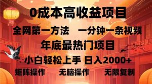 0成本高收益蓝海项目,一分钟一条视频,年底最热项目-云帆项目库