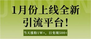 1月上线全新平台,当天涨粉1W ,日变现500 工具无脑涨粉,解放双手操作简单-云帆项目库