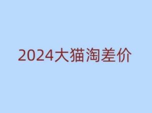 2024版大猫淘差价课程,新手也能学的无货源电商课程-云帆项目库