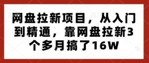 网盘拉新项目,从入门到精通,靠网盘拉新3个多月搞了16W-云帆项目库