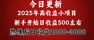 2025开年好项目,新手日收益500 熟练掌握后,日收益平均2000多-云帆项目库